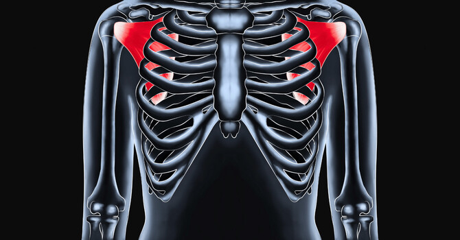 Why Your Shoulder Still Hurts (And the Forgotten Muscle No One in Springfield, MO Talks About) image